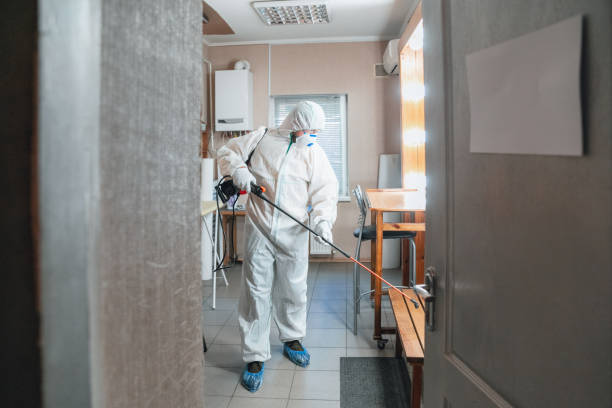 Best Environmental Consulting for Mold Prevention  in Garland, UT