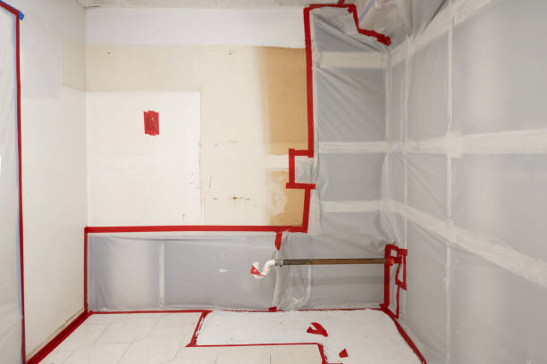 Best Post-Construction Mold Inspection  in Garland, UT