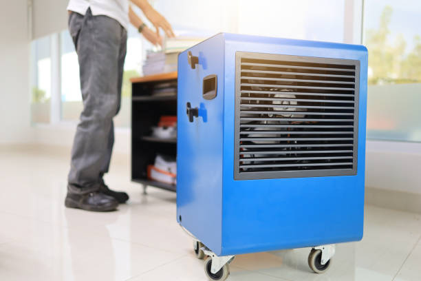 Best Residential Mold Inspection & Testing  in Garland, UT