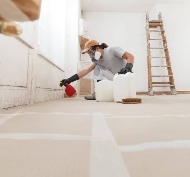 Best Air Quality Testing for Mold Spores  in Garland, UT